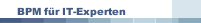 BPM für IT-Experten
