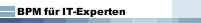 BPM für IT-Experten